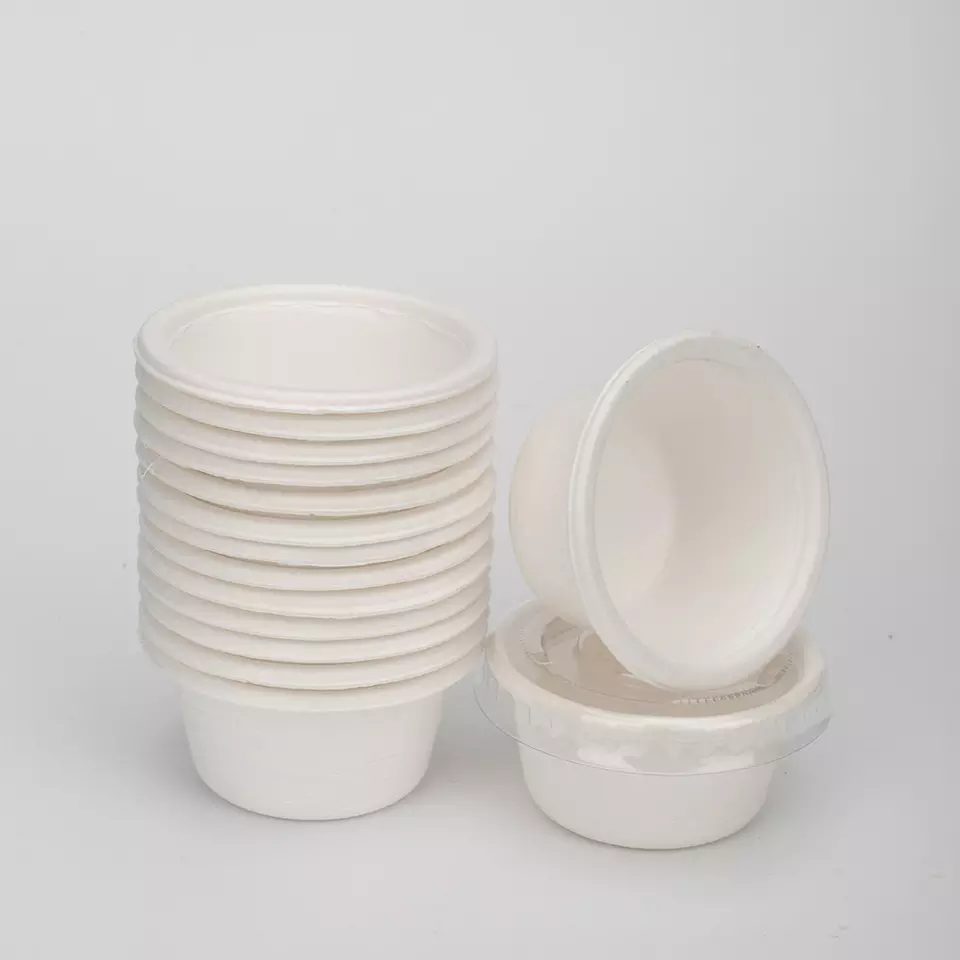 5oz White Biodegradable Sugarcane Bagasse Pulp Molding Disposable Takeaway Ice Cream Cup With Lid