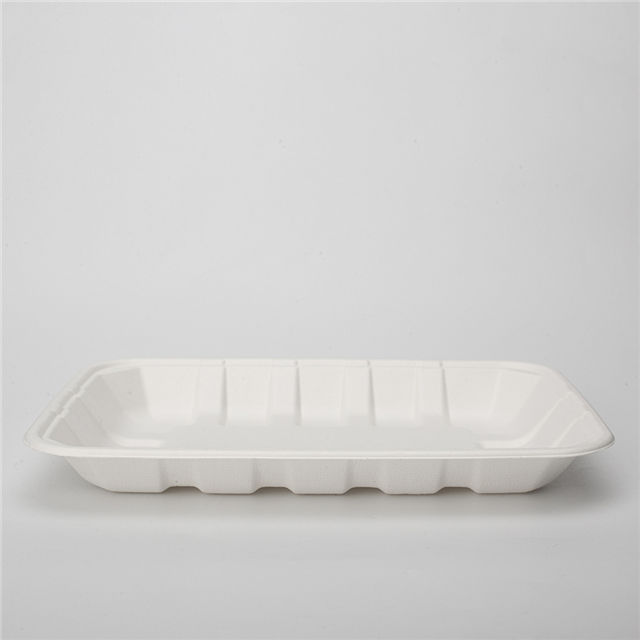 PFAS Free Disposable Biodegradable Rectangular Food Meat Sugarcane Bagasse Pulp Mould Tray