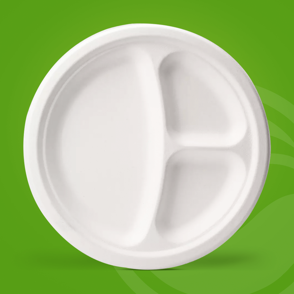 Bagasse Tableware Manufacturing and Form Factors