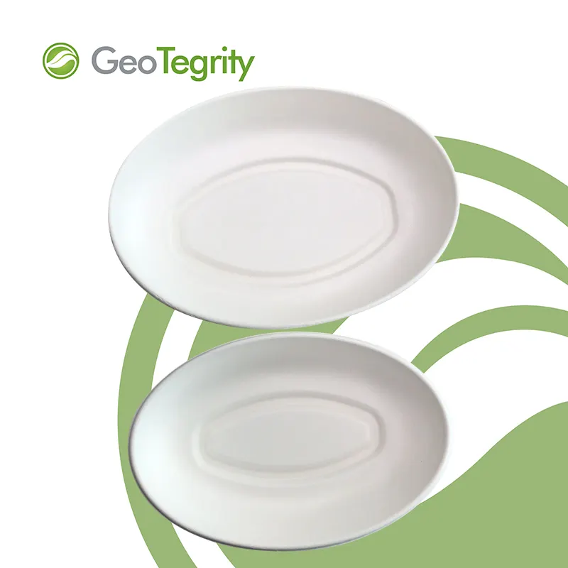 Sustainable Bagasse Food Packaging Solutions