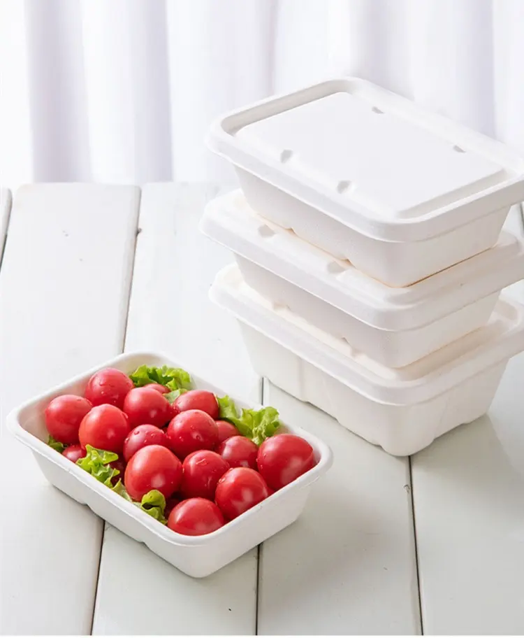 Heavy-duty bagasse trays used in high-volume catering service