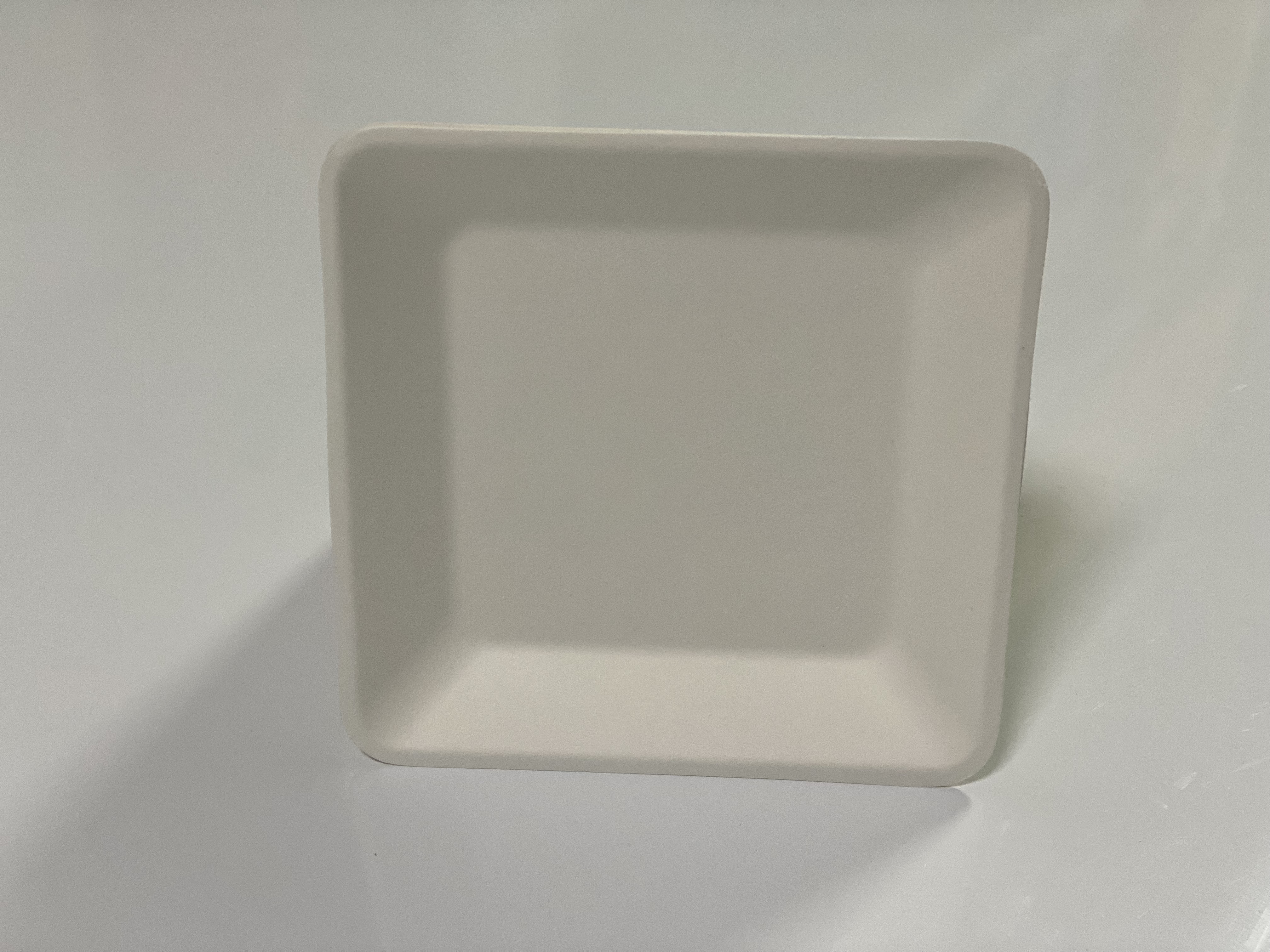 Biodegradable Bagasse Pulp Plates